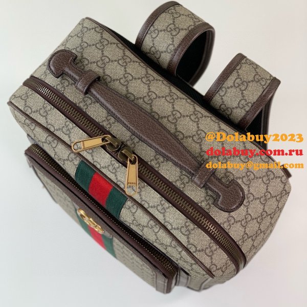 Top Quality gucci Ophidia GG backpack 745718