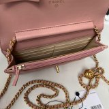 Replica 19CM Iridescent Wallet On Chain WOC AP1450 Bag