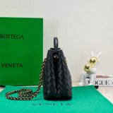 Top Quality BOTTEGA VENETA ANDIAMO small 25cm tote bag