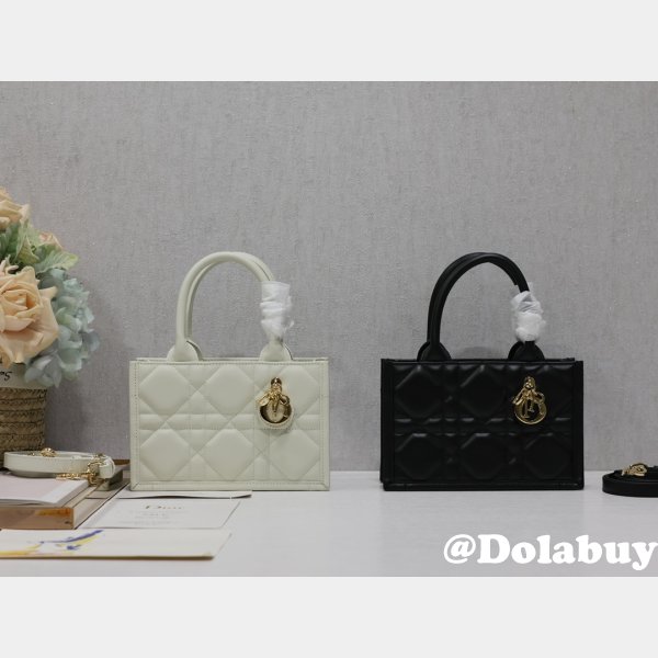 Christian Dior 1286/5573 Knockoff D-Lite 1:1 Mirror Bag