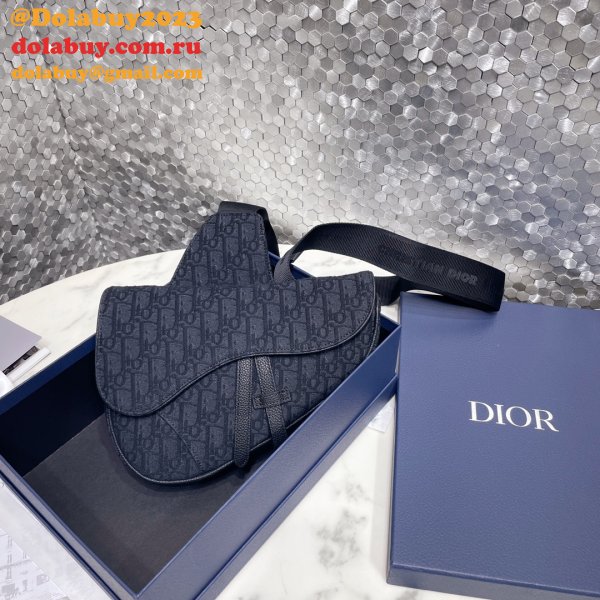 High Quality Dior homme saddle ophidia men bag