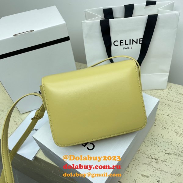 1:1 Replica Celine Triomphe Teen Luxury Handbag