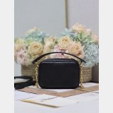 Top Quality 1:1 Mirror Dior Caro camera bag 3352