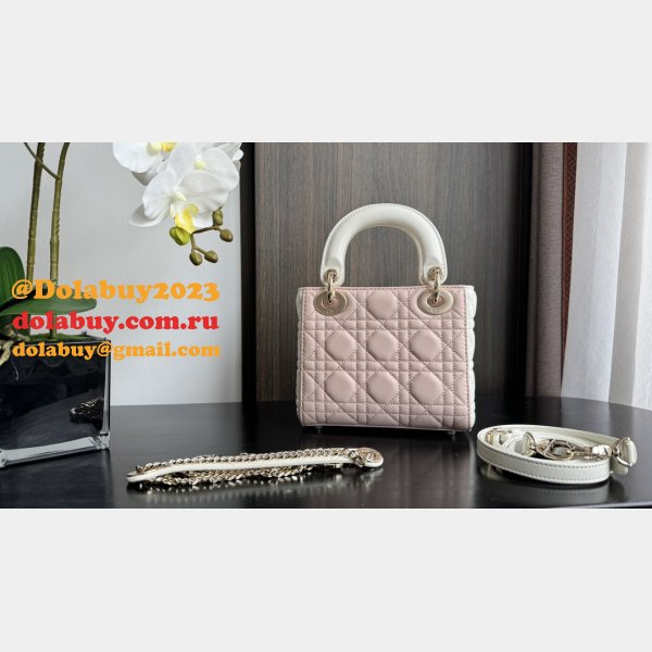 Perfect Quality Replica Christian Lady Dior 17/20cm Bags